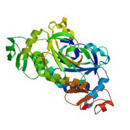 蛋白質結構 蛋白質結構