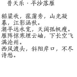 普天樂·平沙落雁 普天樂·平沙落雁