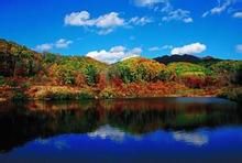 哈爾濱國家森林公園 哈爾濱國家森林公園