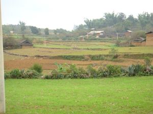 大岔路自然村 大岔路自然村