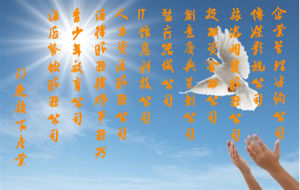 釤度集團旗下實業