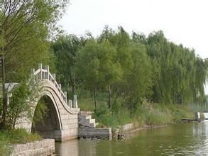 禹西農業觀光園 禹西農業觀光園