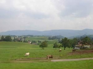 萬李發新經營的福店農場