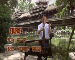 李 平(廣西歌舞團民族器樂演奏家)
