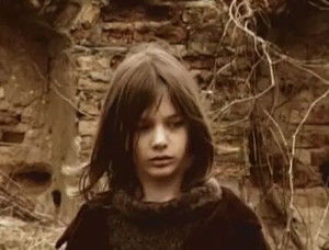 歐洲二十五面體