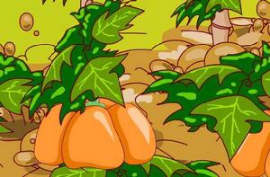 井岡山下種南瓜 井岡山下種南瓜