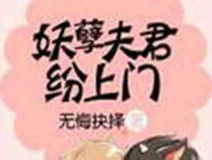 妖孽夫君紛上門