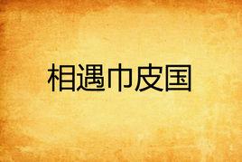 相遇巾皮國 相遇巾皮國