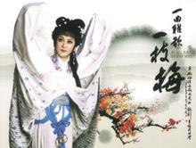 王毓梅個人專場“一曲雅歌一枝梅”