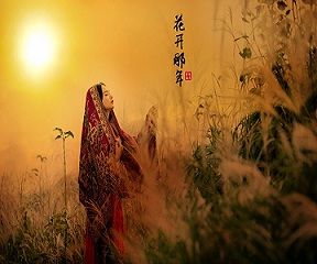 花開那年 花開那年