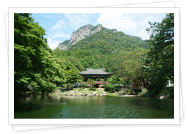 鶴石與雙溪林風景