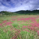 三江併流自然保護區