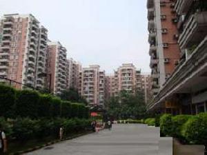 富力天力居 富力天力居