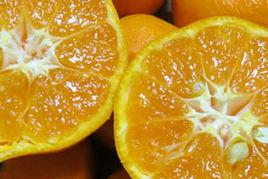 完成拼圖18 完成拼圖18