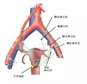 月經回潮 月經回潮