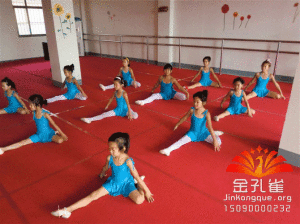 金孔雀舞蹈中心 金孔雀舞蹈中心