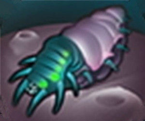 節肢彈性蛋白 節肢彈性蛋白