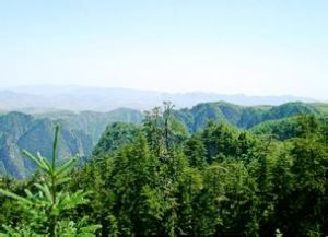 貴清山國家森林公園