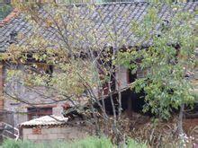 邵家村[雲南省宣威市務德鎮邵家村]