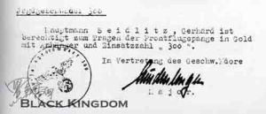 300次數字垂飾獲授證明檔案，1944年12月7日授給Gerhard   Seidlitz，A5尺寸(150mm×210mm)。