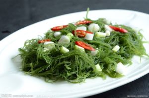 海藻提取物 海藻提取物