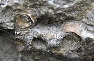 尤多姆群 尤多姆群