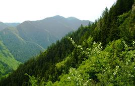 興隆山[甘肅蘭州市榆中縣山峰]