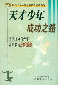 天才少年成功之路 天才少年成功之路