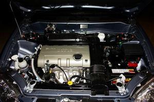 青年蓮花競悅 -動力配置