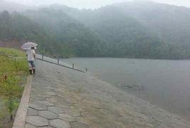 新崗山鎮 新崗山鎮