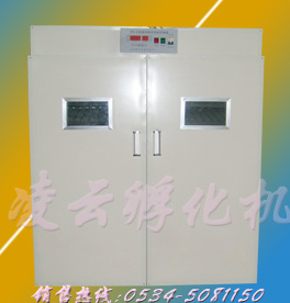 （圖）凌雲孵化機價格表