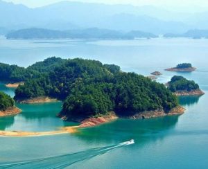 浪石金灘 浪石金灘