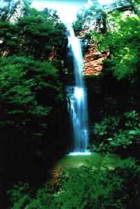 黃松峪國家級森林公園