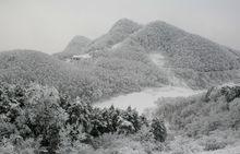 龍坪鎮[湖北省襄陽市保康縣龍坪鎮]