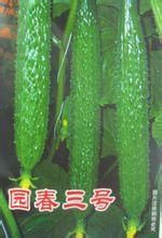 園春三號 園春三號