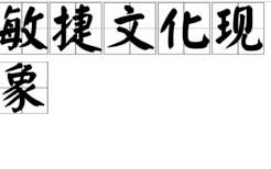 敏捷文化現象 敏捷文化現象