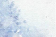 林嶼森[屍風長卷僵生小說的配角]