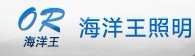 深圳海洋王照明科技股份有限公司 深圳海洋王照明科技股份有限公司
