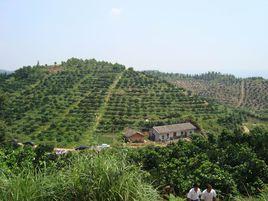萬田鄉[浙江衢州市柯城區轄鄉]
