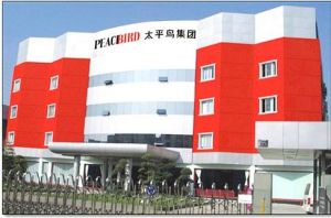 太平鳥集團有限公司