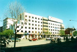 （圖）長白山杯