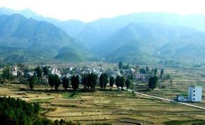 河唇山背村 河唇山背村