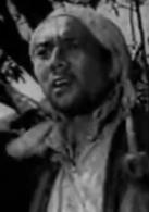 雞毛信[1953年石揮執導電影]