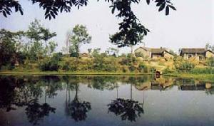 彭頭山遺址 彭頭山遺址