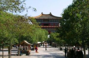 綠野基地 綠野基地