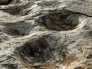 諸城恐龍足跡群