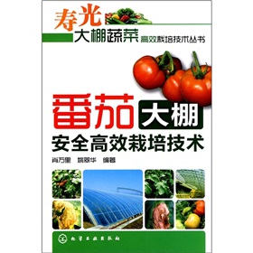 番茄大棚安全高效栽培技術