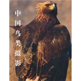 《中國鳥類攝影》 《中國鳥類攝影》