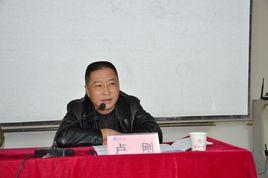 盧剛[貴州省退役軍人事務廳副廳長]