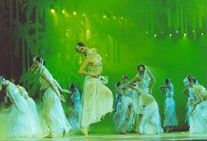 深圳歌舞團 深圳歌舞團